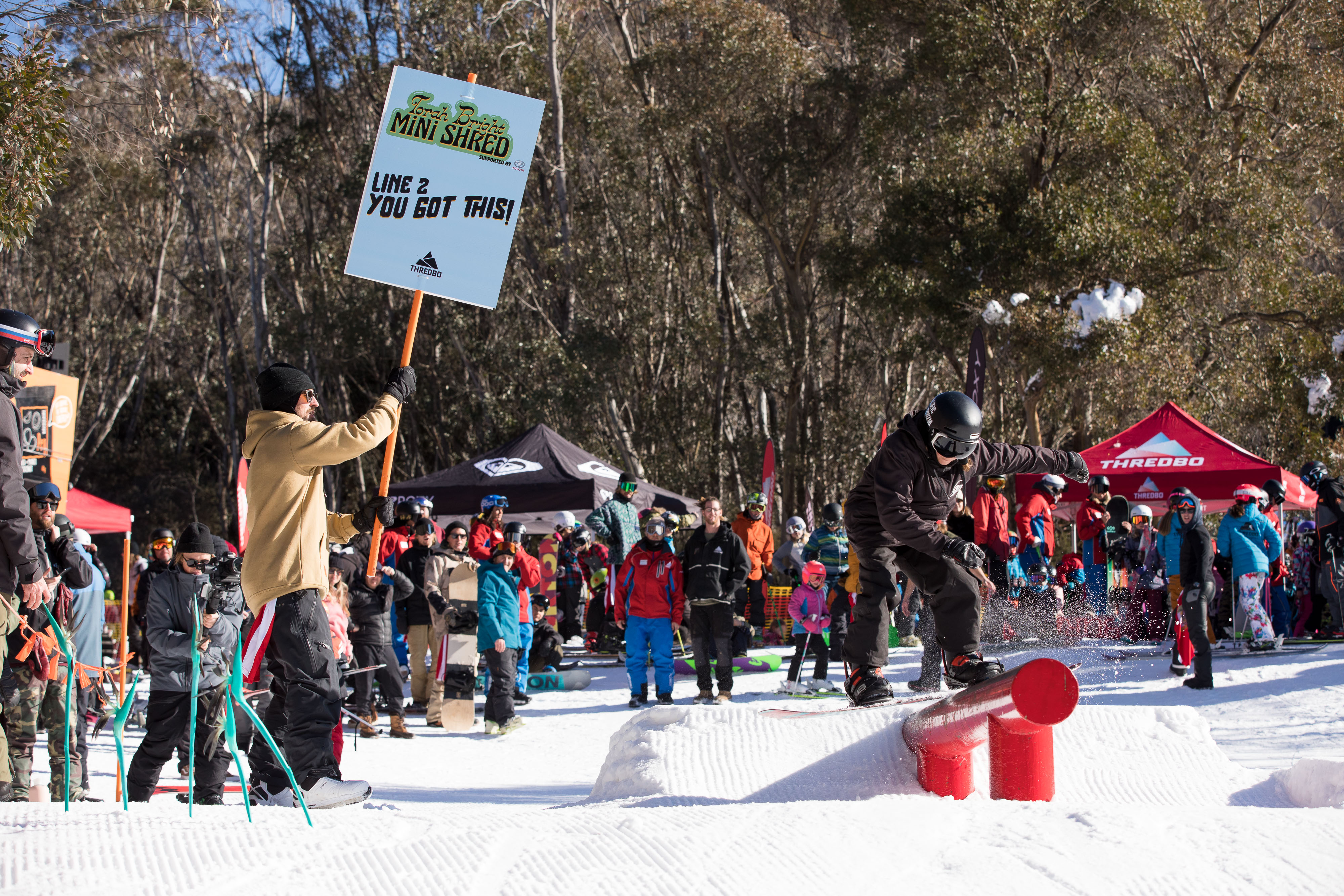 Torah Bright Mini Shred - you got this 