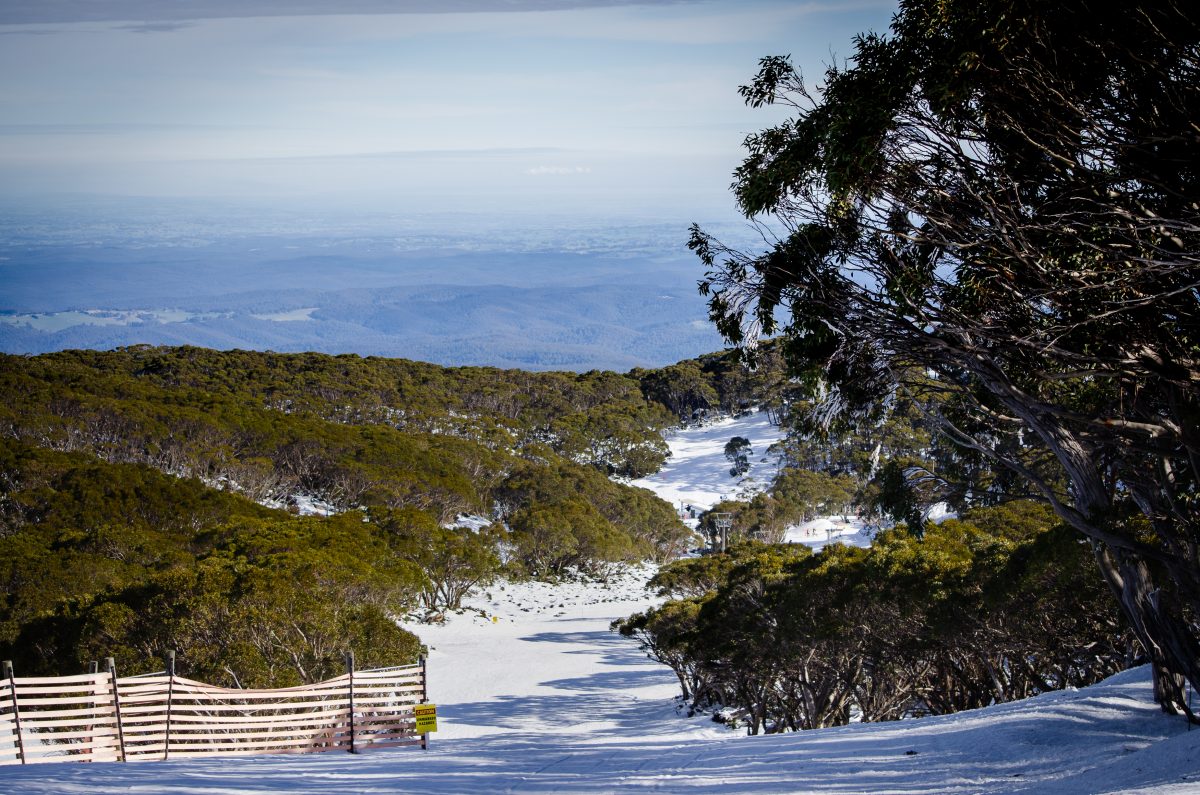 See what's new at Mt Baw Baw for Season 2019 Snowatch
